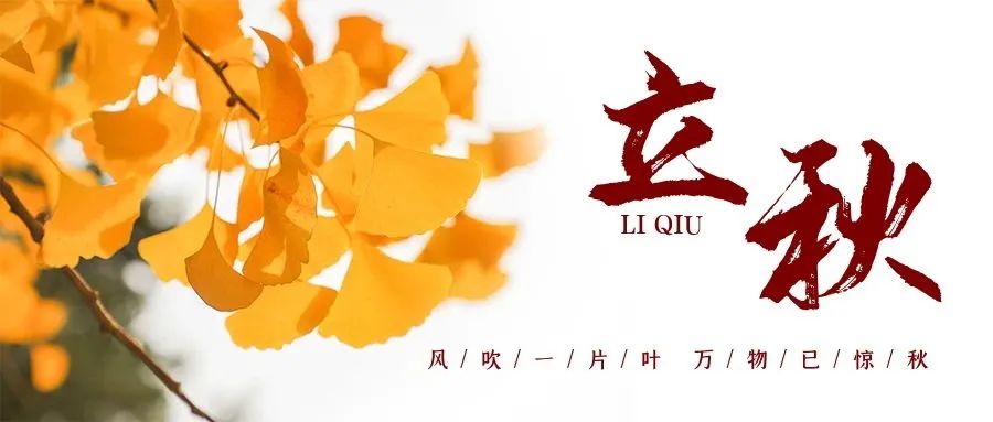 微信圖片_20250724085431.jpg